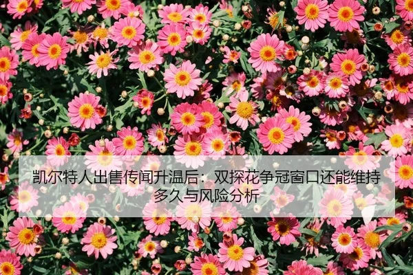 凯尔特人出售传闻升温后：双探花争冠窗口还能维持多久与风险分析
