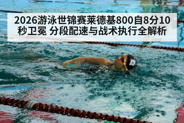 2026游泳世锦赛莱德基800自8分10秒卫冕 分段配速与战术执行全解析